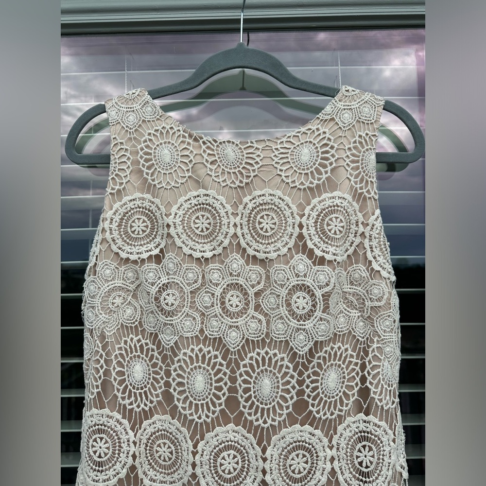 Eliza J Lace Sleeveless Shift Dress Size 6 Crochet Scalloped Hem Bohemian - Picture 4 of 9